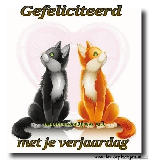 ᐅ gefeliciteerd man - Verjaardag plaatjes ᐅ gefeliciteerd man - Verjaardag plaatjes