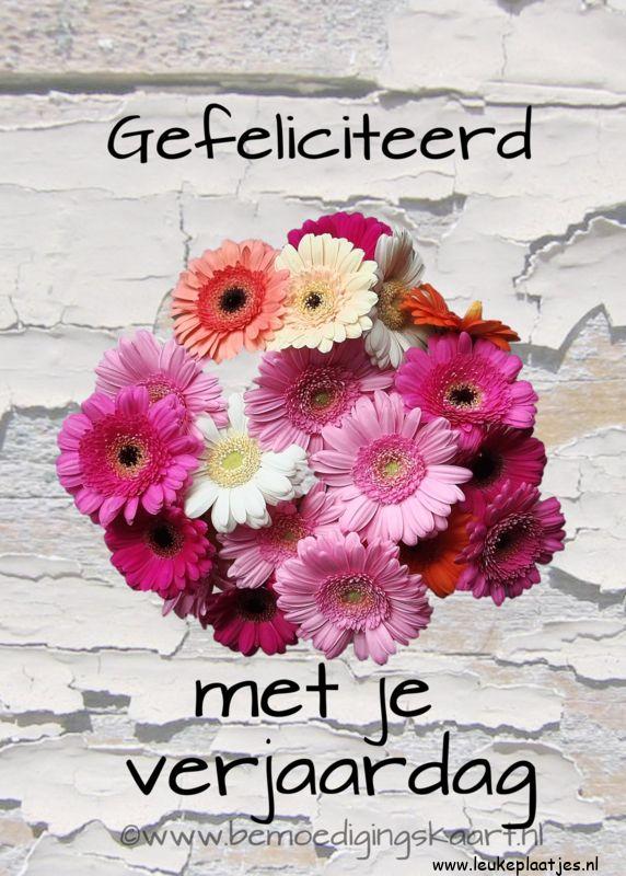 ᐅ gefeliciteerd vrouw - Verjaardag plaatjes