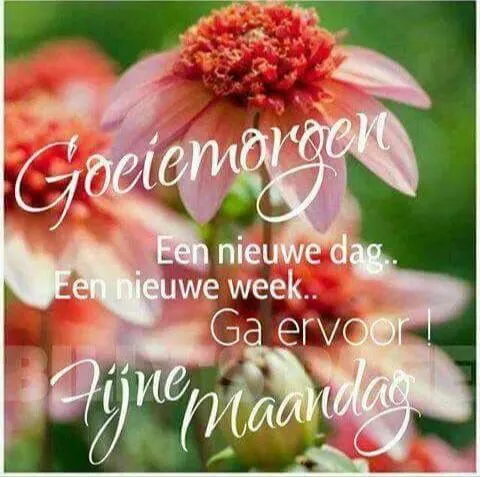 ᐅ gezegende maandag - Maandag plaatjes ᐅ gezegende maandag - Maandag plaatjes