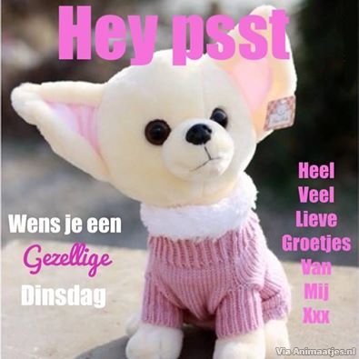 ᐅ gezellige dinsdag - Dinsdag plaatjes ᐅ gezellige dinsdag - Dinsdag plaatjes