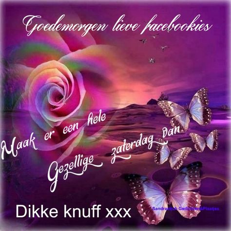 ᐅ gezellige zaterdag - Zaterdag plaatjes