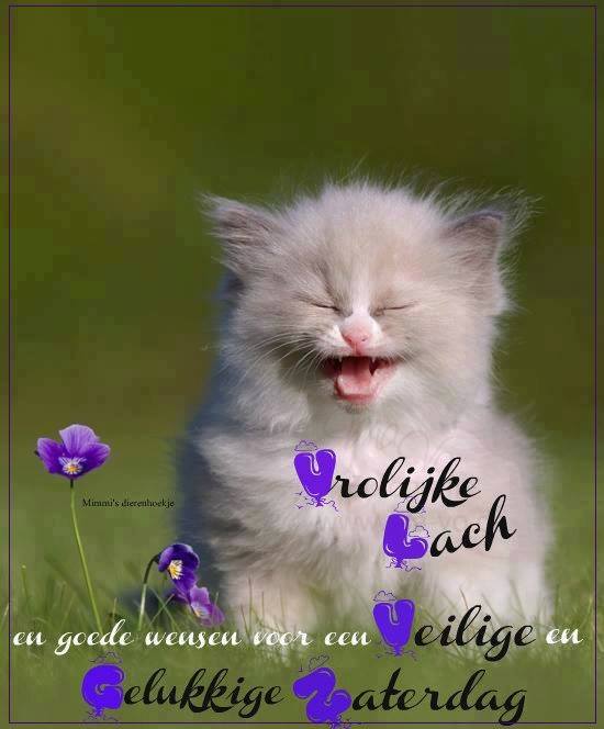 ᐅ gezellige zaterdag - Zaterdag plaatjes