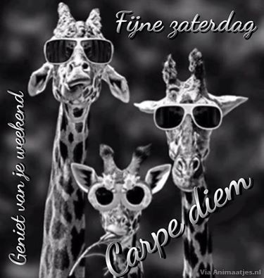 ᐅ gezellige zaterdag - Zaterdag plaatjes