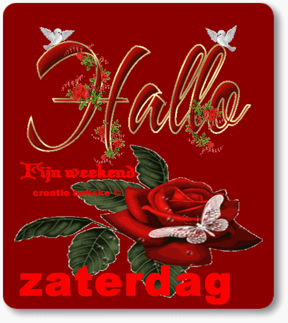 ᐅ gezellige zaterdag - Zaterdag plaatjes