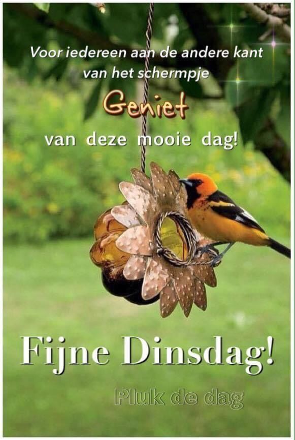 ᐅ goede morgen dinsdag - Dinsdag plaatjes