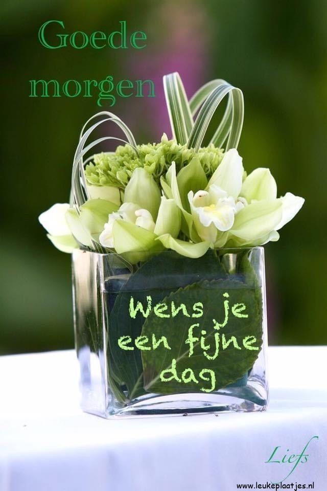 ᐅ goedemiddag fijne dag - Goedemiddag plaatjes ᐅ goedemiddag fijne dag - Goedemiddag plaatjes