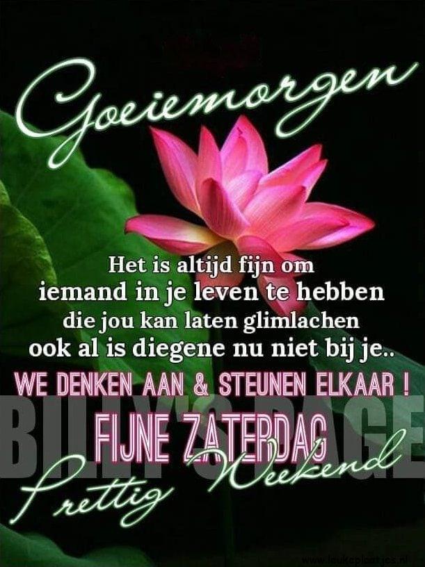 ᐅ goedemiddag fijne dag - Goedemiddag plaatjes ᐅ goedemiddag fijne dag - Goedemiddag plaatjes