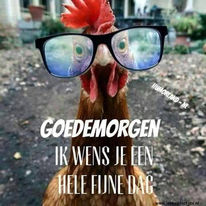 ᐅ goedemiddag fijne dag - Goedemiddag plaatjes ᐅ goedemiddag fijne dag - Goedemiddag plaatjes