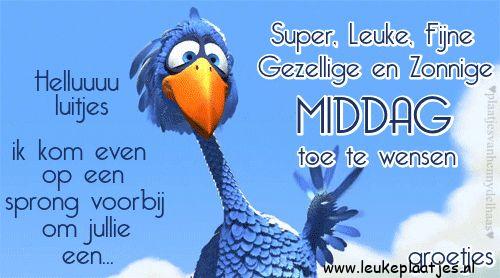 ᐅ goedemiddag humor - Goedemiddag plaatjes