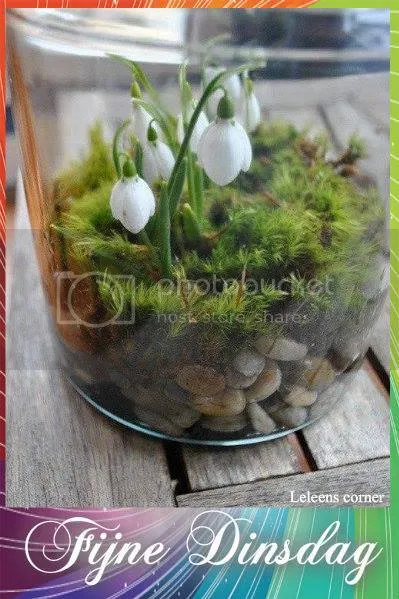 ᐅ goedemorgen fijne dag vandaag - Fijne Dag plaatjes ᐅ goedemorgen fijne dag vandaag - Fijne Dag plaatjes