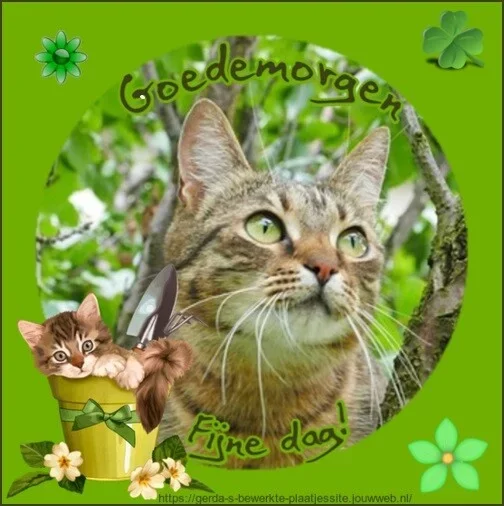 ᐅ goedemorgen fijne dag vandaag - Fijne Dag plaatjes ᐅ goedemorgen fijne dag vandaag - Fijne Dag plaatjes