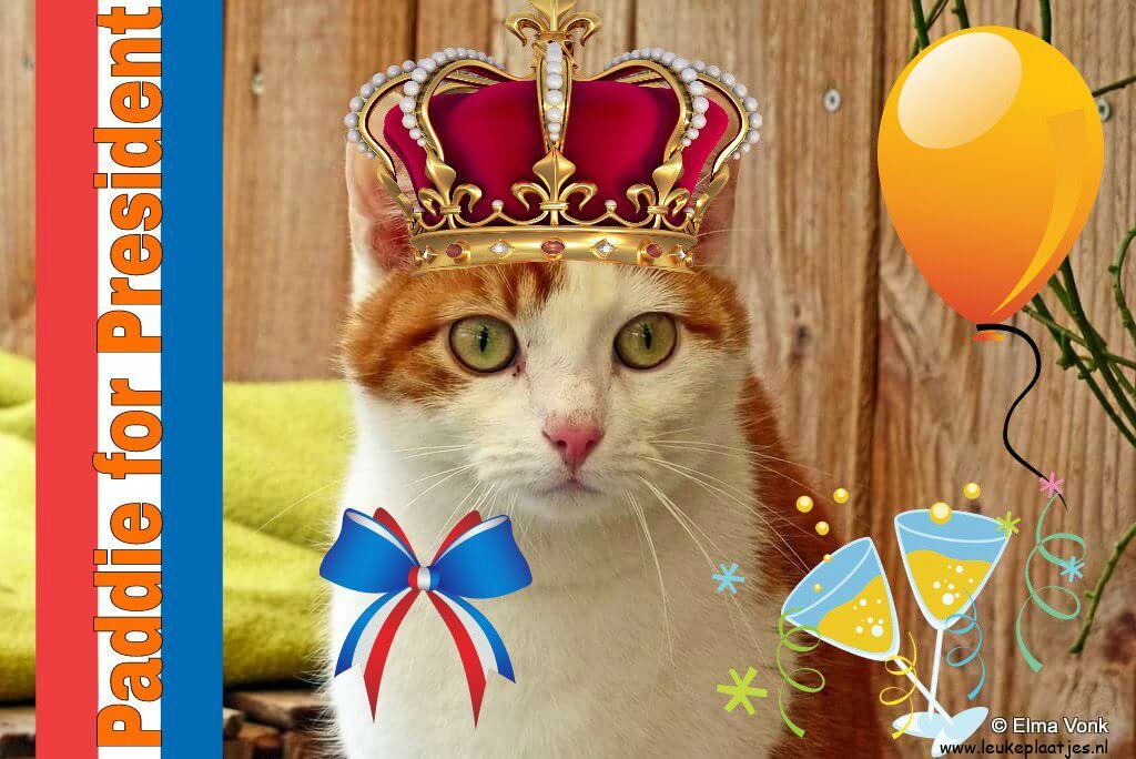 ᐅ goedemorgen fijne koningsdag - Koningsdag plaatjes ᐅ goedemorgen fijne koningsdag - Koningsdag plaatjes