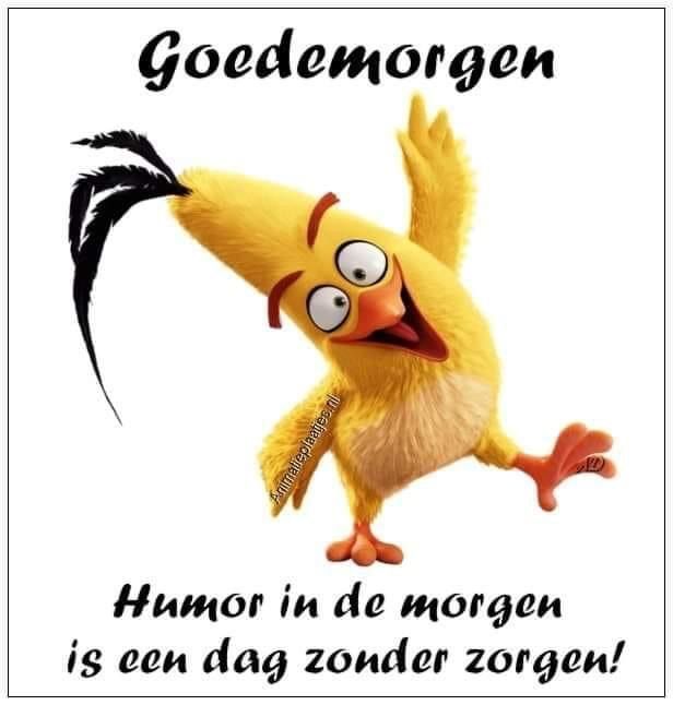 ᐅ goedemorgen humor - Goedemorgen plaatjes
