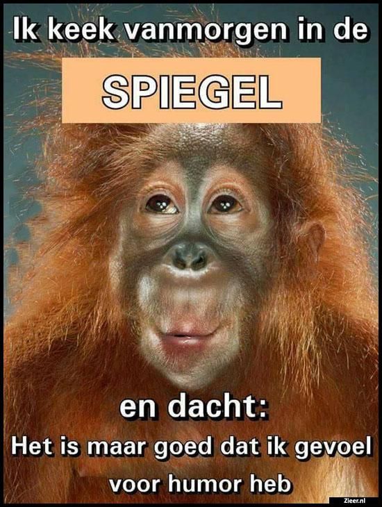 ᐅ goedemorgen humor - Goedemorgen plaatjes