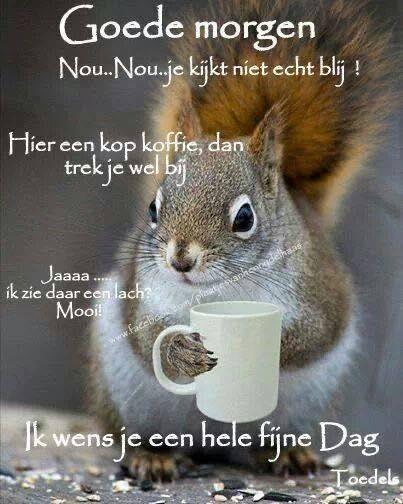 ᐅ goedemorgen maandag humor - Maandag plaatjes ᐅ goedemorgen maandag humor - Maandag plaatjes