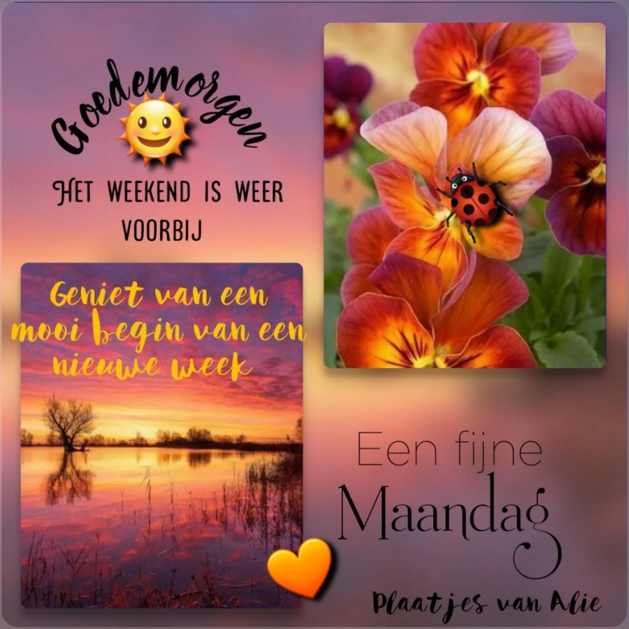 ᐅ goedemorgen maandag nieuwe week - Maandag plaatjes