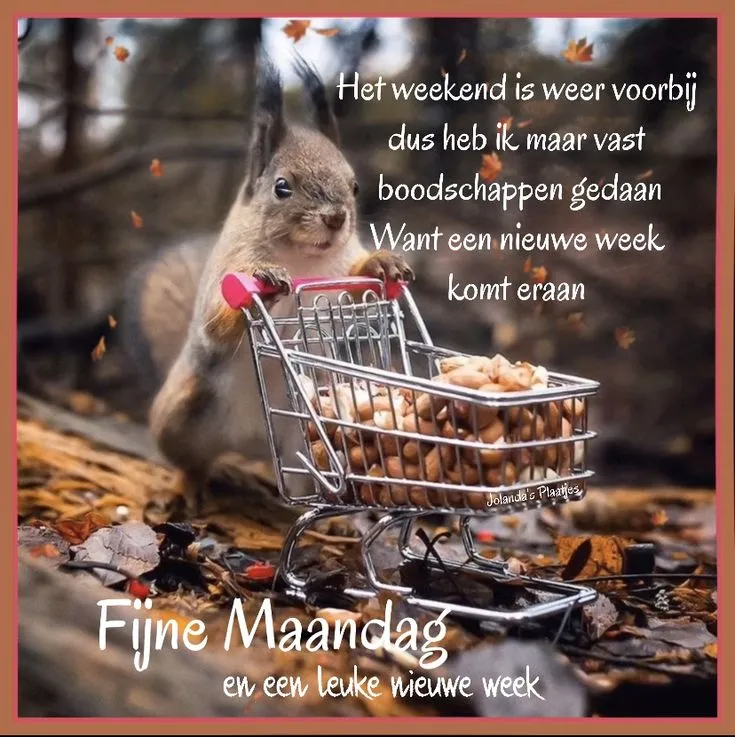 ᐅ goedemorgen maandag nieuwe week - Maandag plaatjes