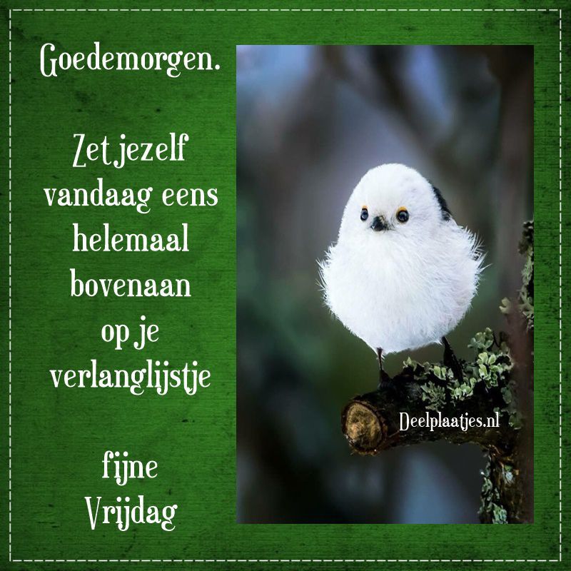 ᐅ goedemorgen vrijdag - Vrijdag plaatjes