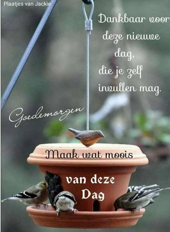 ᐅ goedemorgen wensen - Goedemorgen plaatjes ᐅ goedemorgen wensen - Goedemorgen plaatjes