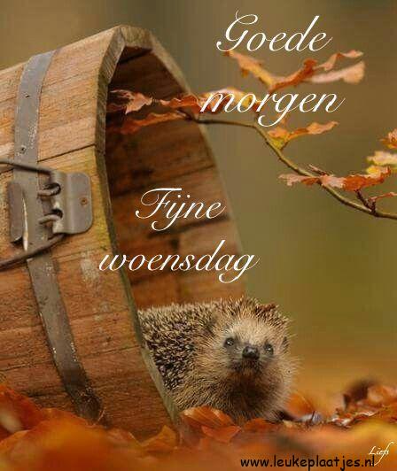 ᐅ goedemorgen woensdag herfst - Donderdag plaatjes