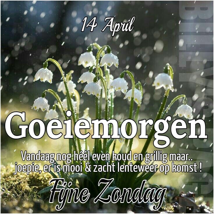 ᐅ goedemorgen zondag sneeuw - Maandag plaatjes