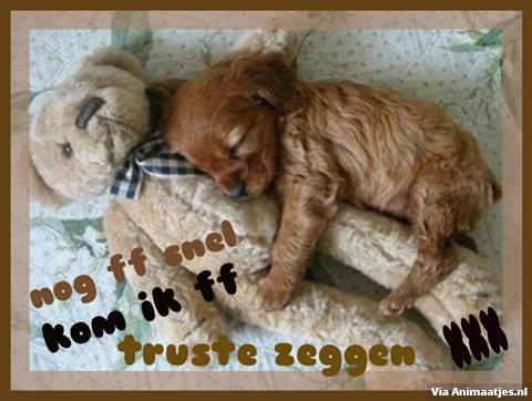 ᐅ grappige welterusten teksten - Welterusten plaatjes ᐅ grappige welterusten teksten - Welterusten plaatjes