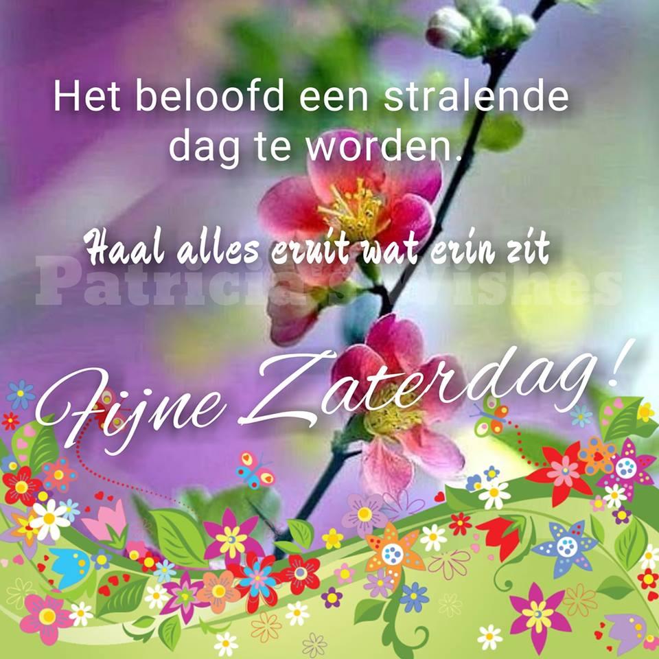 ᐅ gratis afbeeldingen voor whatsapp - Dinsdag plaatjes ᐅ gratis afbeeldingen voor whatsapp - Dinsdag plaatjes