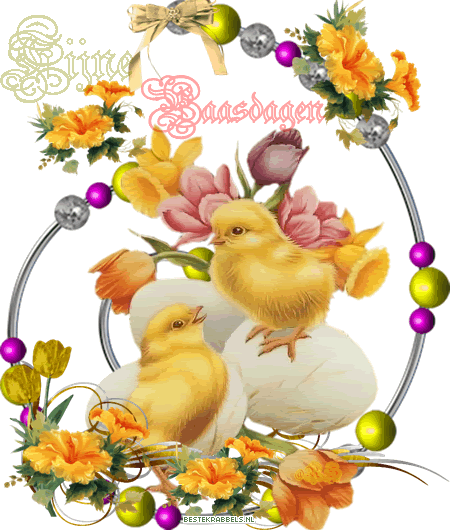 ᐅ gratis afbeeldingen voor whatsapp - Dinsdag plaatjes ᐅ gratis afbeeldingen voor whatsapp - Dinsdag plaatjes