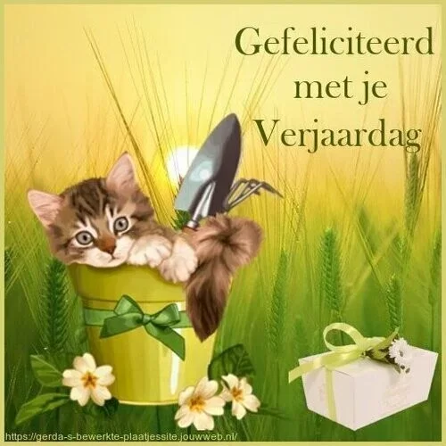 ᐅ gratis verjaardagskaart vrouw - Verjaardag plaatjes