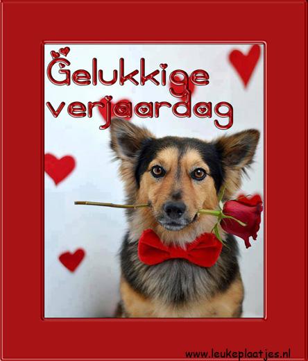 ᐅ gratis verjaardagskaart vrouw - Verjaardag plaatjes