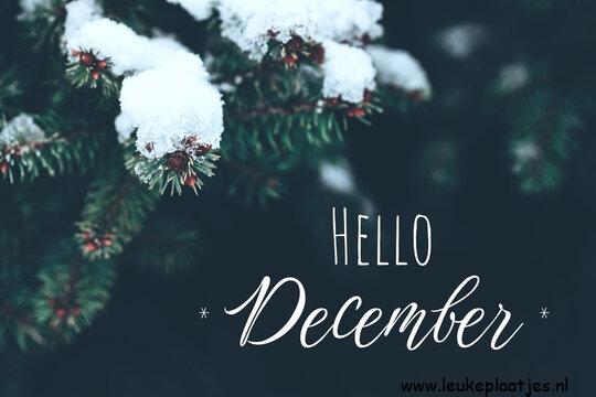 ᐅ hallo december - December plaatjes