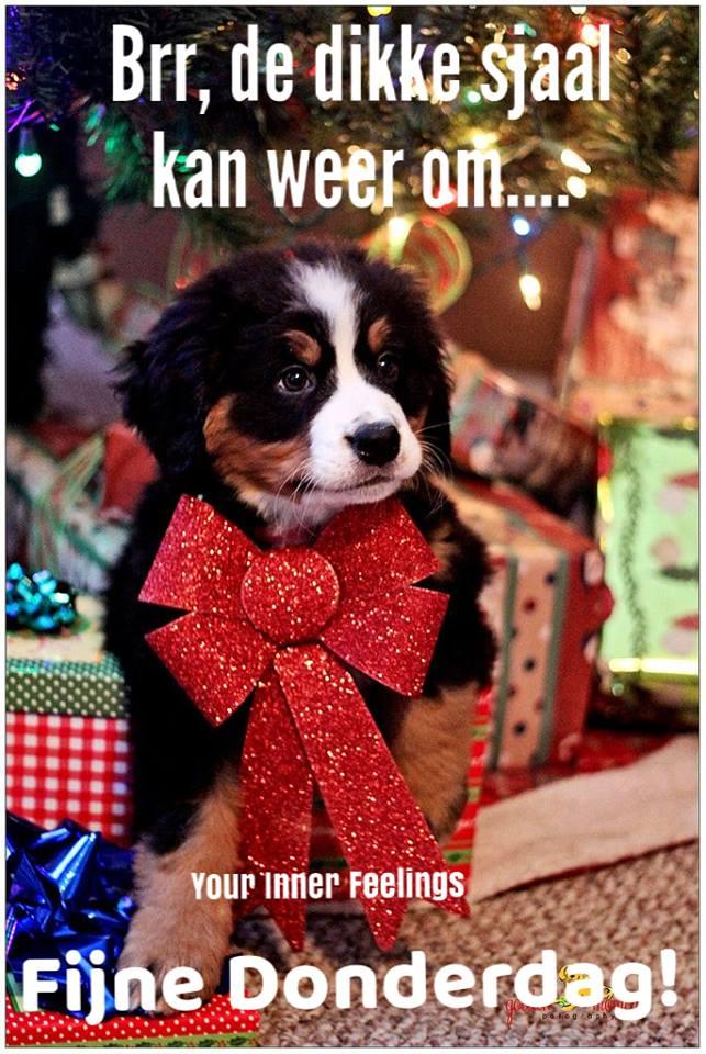 ᐅ hallo donderdag - Donderdag plaatjes ᐅ hallo donderdag - Donderdag plaatjes