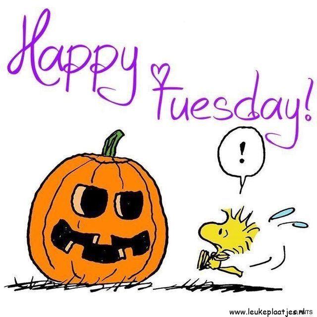 ᐅ halloween grappig - Halloween plaatjes ᐅ halloween grappig - Halloween plaatjes