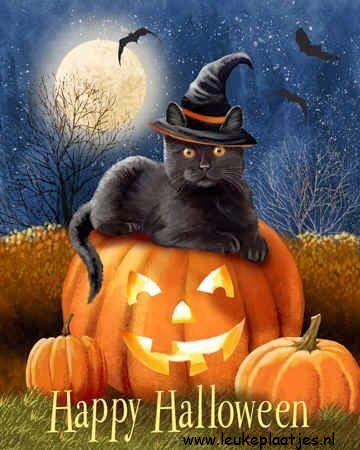 ᐅ halloween katten plaatjes - Halloween plaatjes ᐅ halloween katten plaatjes - Halloween plaatjes