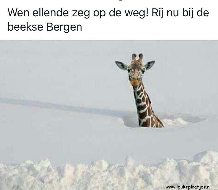 ᐅ humor winter plaatjes - Winter plaatjes ᐅ humor winter plaatjes - Winter plaatjes