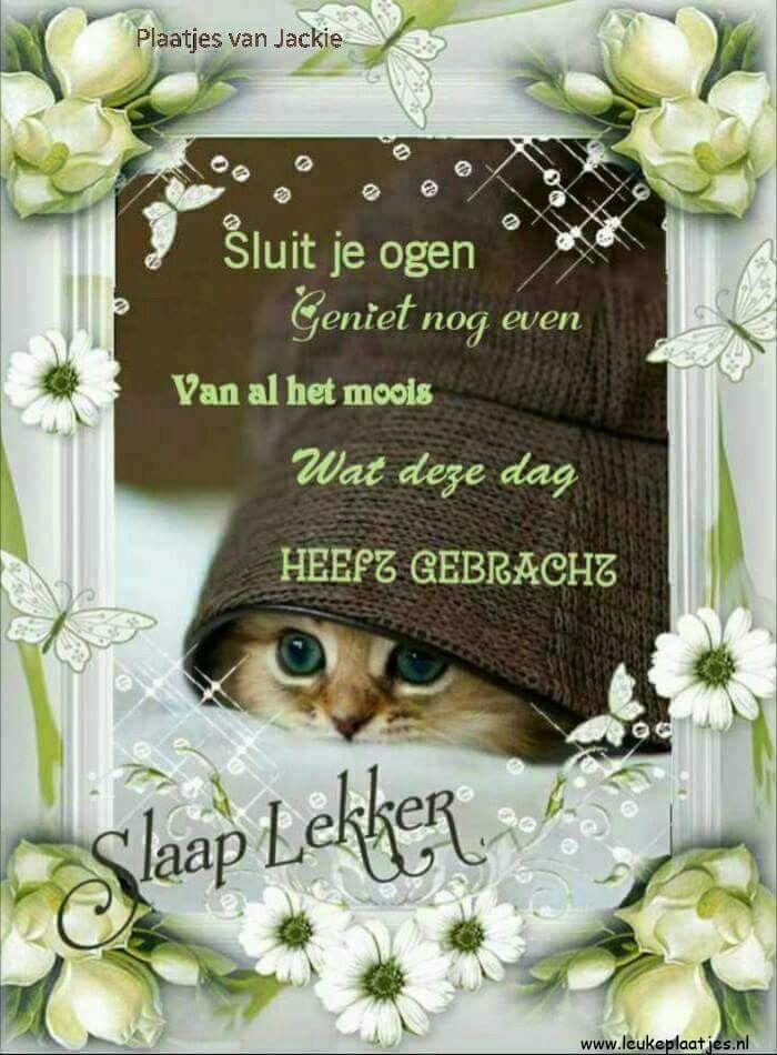 ᐅ lekker slaap winter plaatjes - Winter plaatjes