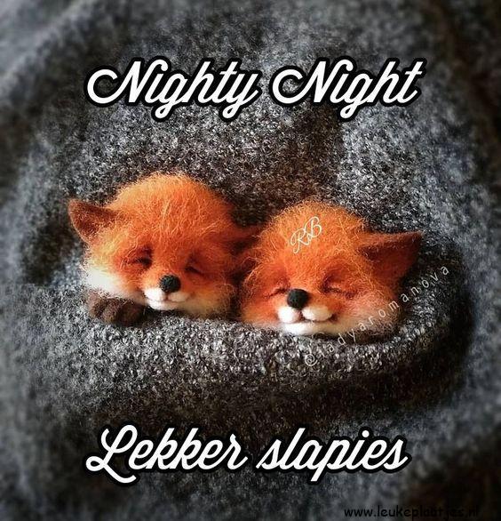 ᐅ lekker slaap winter plaatjes - Winter plaatjes