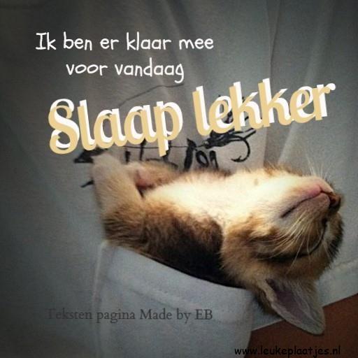 ᐅ lekker slaap winter plaatjes - Winter plaatjes