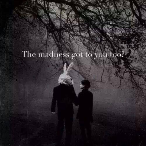 ᐅ liefdes plaatjes - Liefde plaatjes