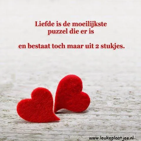 Tekst: "Liefde is de moeilijkste puzzel, bestaat uit twee stukjes." met twee rode harten.