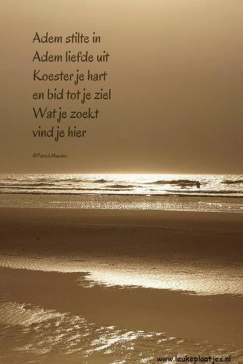 Tekst op een achtergrond van zee en horizon in zachte kleuren.