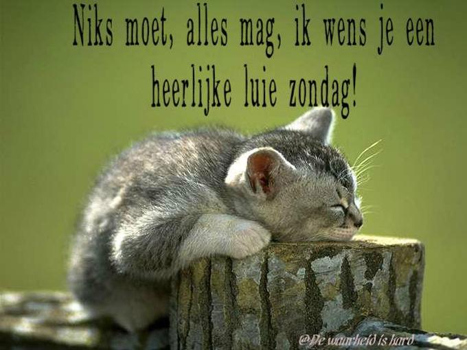 ᐅ luie zondag - Zondag plaatjes