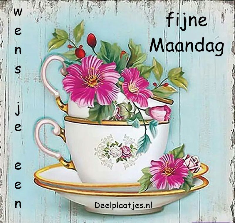 ᐅ maandag plaatjes - Maandag plaatjes ᐅ maandag plaatjes - Maandag plaatjes