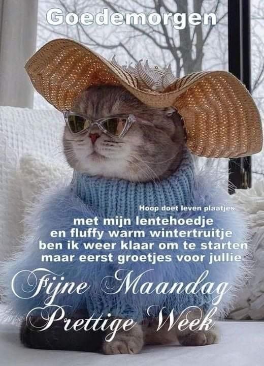 ᐅ mijnmaandag - Maandag plaatjes