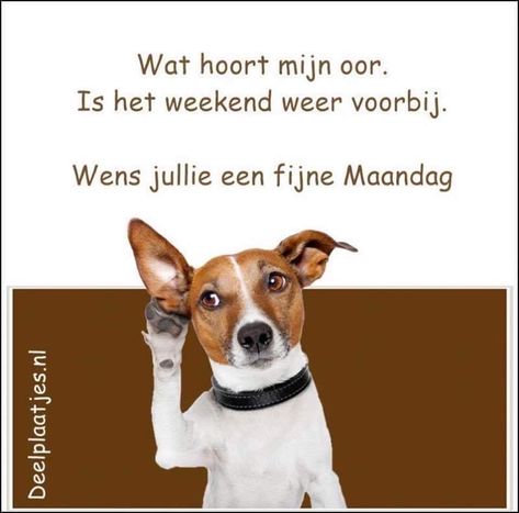 ᐅ mijnmaandag - Maandag plaatjes