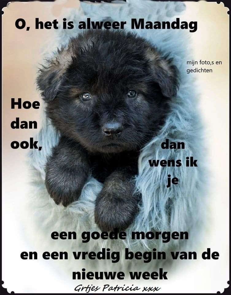 ᐅ mijnmaandag - Maandag plaatjes