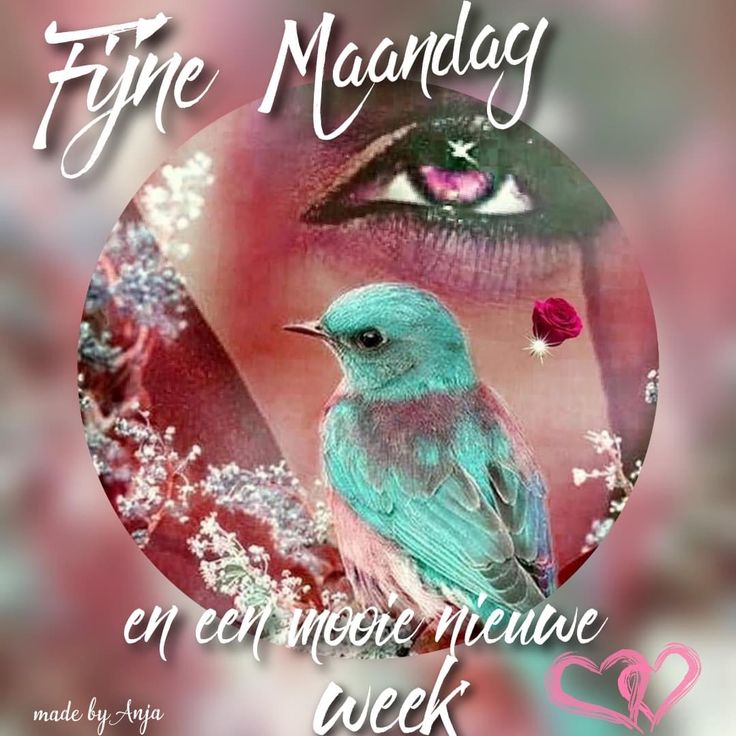 ᐅ mooie maandag - Maandag plaatjes ᐅ mooie maandag - Maandag plaatjes