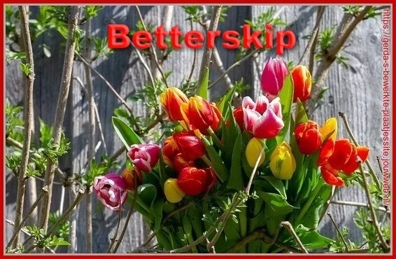 ᐅ plaatjes beterschap - Beterschap plaatjes ᐅ plaatjes beterschap - Beterschap plaatjes