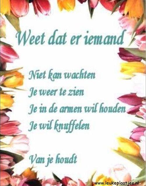 ᐅ romantisch afbeeldingen liefde - Liefde plaatjes