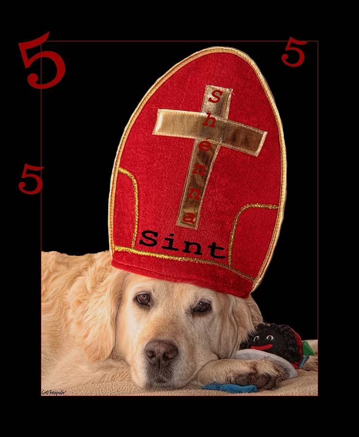 ᐅ sinterklaas plaatjes - Sinterklaas plaatjes ᐅ sinterklaas plaatjes - Sinterklaas plaatjes